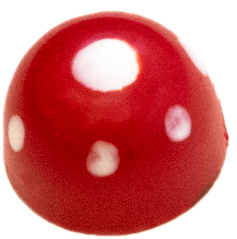 Funghi